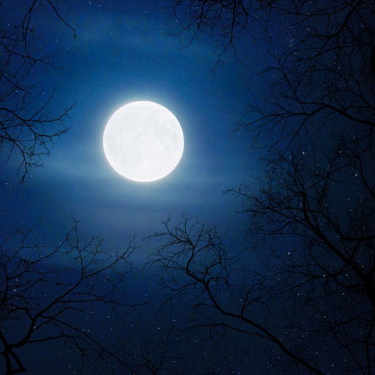FULL MOON Vs NEW MOON