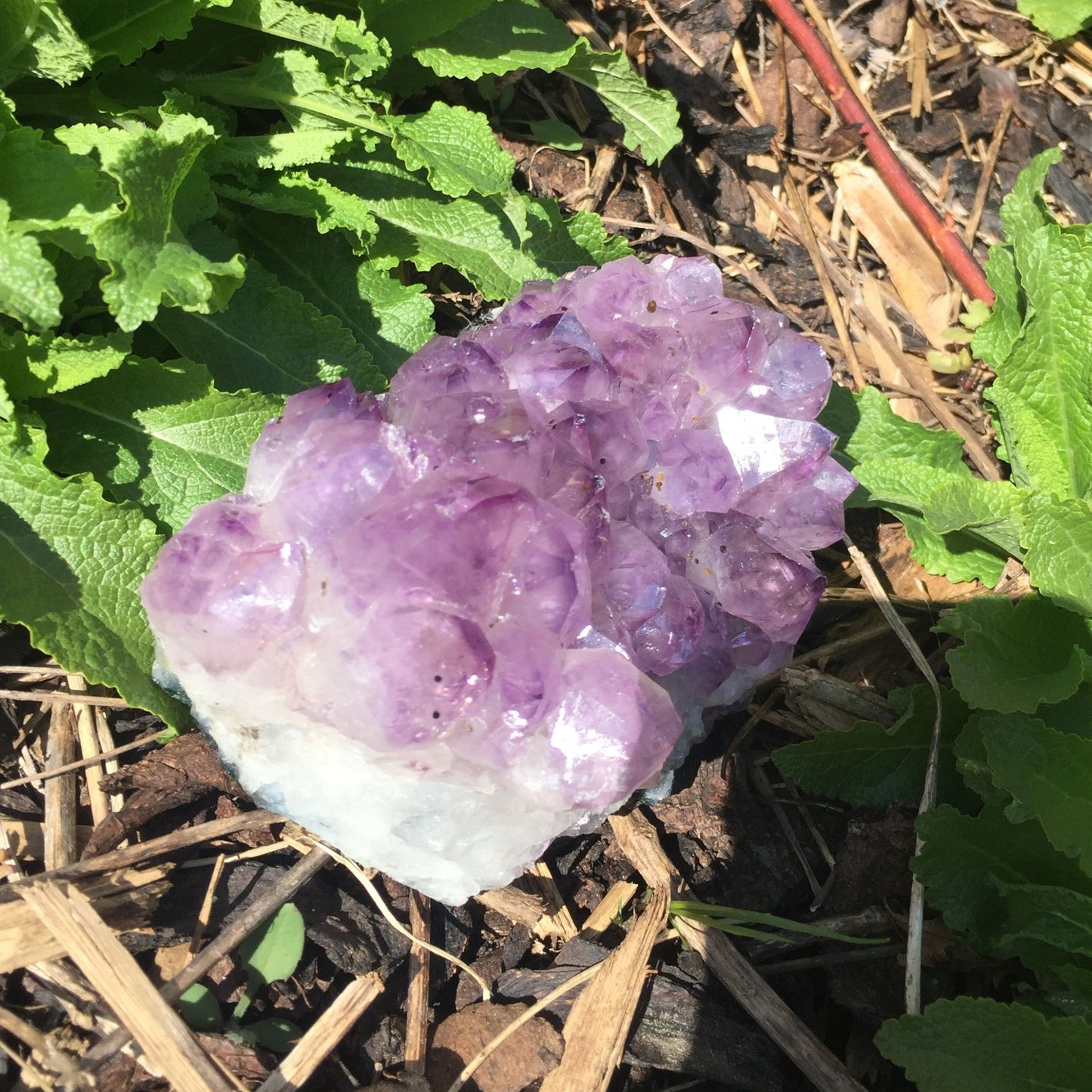 Brazilian Amethyst Crystal